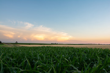 Rural Lasalle county at sunset.  Illinois, USA.