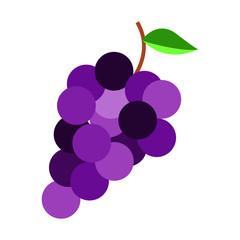 The best Grape icon, illustration vector. Suitable for many purposes.