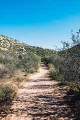 Hiking path upto the mountain surrounded by foliage and blue sky