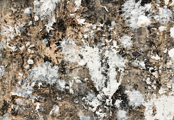 Abstract surfaces are dirty and scratched frames, the use of dust and grains particles or grains of dirt.


