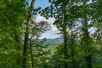 Smoky Mountains landscape along the trails.  Smoky Mountains National Park, Tennessee, USA