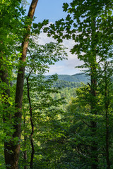 Smoky Mountains landscape along the trails.  Smoky Mountains National Park, Tennessee, USA