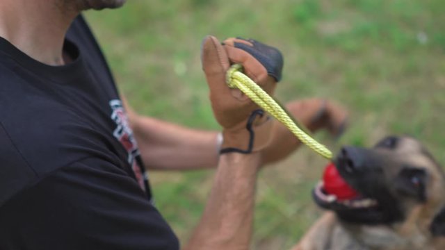 A Man Spends Time With His Dog In The Forest. The Dog Is Trained With A Red Ball On A Rope. Dog Training Concept Video