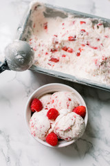 Bowl of Ice Cream with Fresh Raspberries, and in the background, homemade metal tray with ice cream and an ice cream scoop.