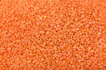 Pile of Red Lentils