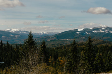 Mountain landscape in the mountains of the Carpathians in Ukraine. mountain goverla in the Ukrainian Carpathians. beautiful mountain with a snowy peak. mountain background through the spruce.Traveling
