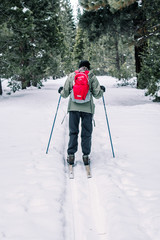 Cross Country Skiing in the Woods 