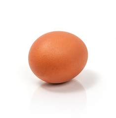 Brown Egg on a White Background