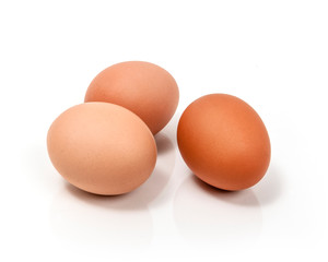 Brown Egg on a White Background