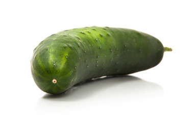 Cucumber on a White Background