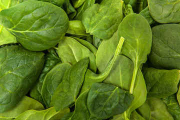 Pile of Spinach