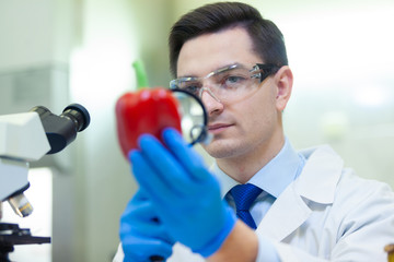 Laboratory worker examining fruits and vegetables and making analysis for pesticides and nitrates.