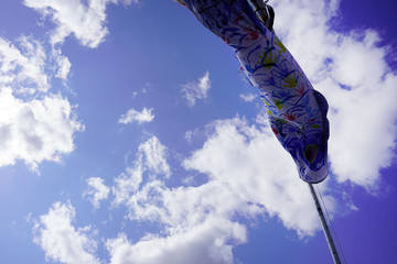 鯉のぼり　青空　春