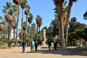 
Travel to Giza in Egypt.