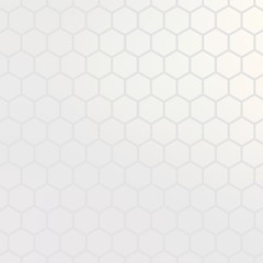 Fototapeta premium Hexagon grey subtle plain background decorated hologram effect.