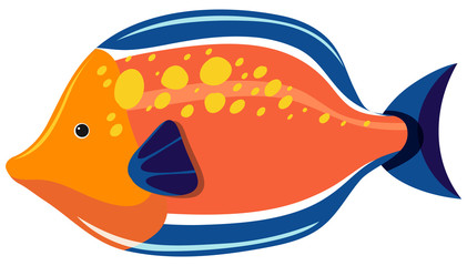 Orange fish on white background