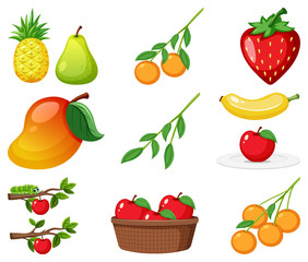 Large set of different types of fruits on white background