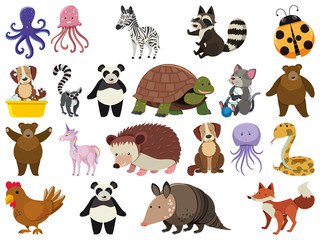 Fototapeta premium Large set of wild animals on white background