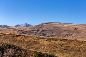Autumn in the mountains, warm season, blue sky and nature says goodbye to summer.