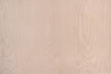 Wood texture. Wood background with natural pattern for design and decoration. 