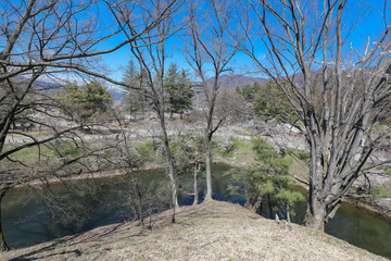上田城跡公園 お堀の桜
