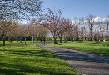Walking in a public park Blue Lake park.