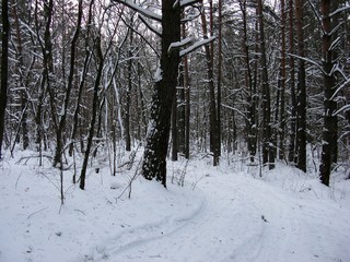 Winter