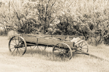 Fototapeta na wymiar Wood Wagon