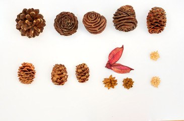 Set of various types of pineapples with other ornamental motifs and which serves as a decoration accessory in the home and give it a natural and warm atmosphere 