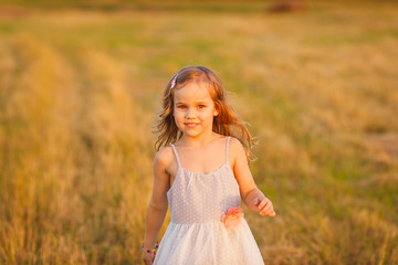 Fototapeta na wymiar small kid girl grey dress run on wheat field