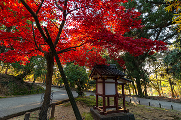 奈良東大寺、白山神社の紅葉