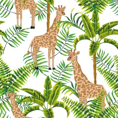 Papier peint Tropical ensemble 1 Girafe palmiers motif tropical fond blanc