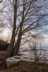 An empty little boat in Trasimeno lake (Umbria, Italy) at dusk, near a skeletal tree creating beautiful texture with its branches
