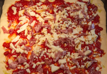 Uncooked pizza to be cooked, with tomatoes, salami and provola