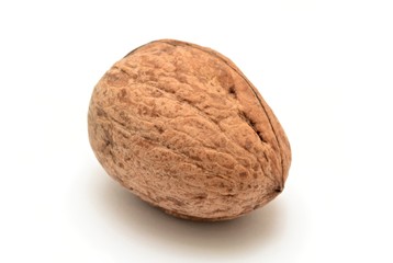 Walnut on white background