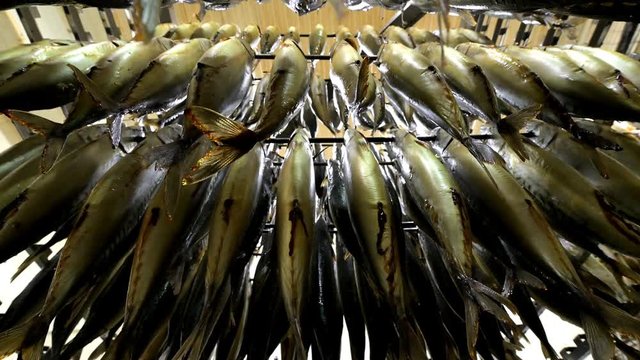 fish hang smoked factory rack row prepared