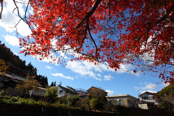 山間の町と紅葉