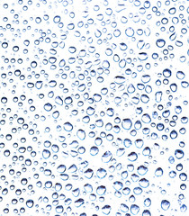 Raindrops on window glass