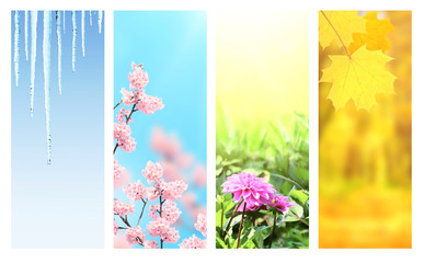 Four seasons of year