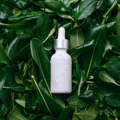 Bottle with natural face serum on green leaves, square