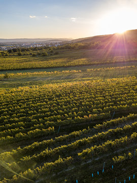 An aerial view of Eisenstadt and the Leithagebirge, Burgenland, Austria