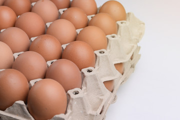 fresh organic egg in paper panel on white background