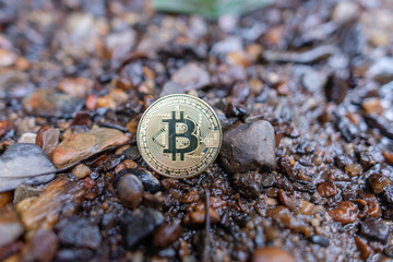 ビットコイン　イメージ