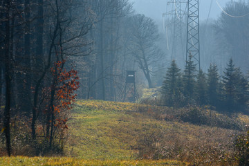 Vienna Woods. Fog in the Vienna forest. Located in the vicinity of Vienna. It is bounded on one...