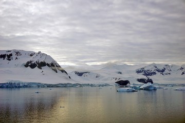 Antarktische Landschaft