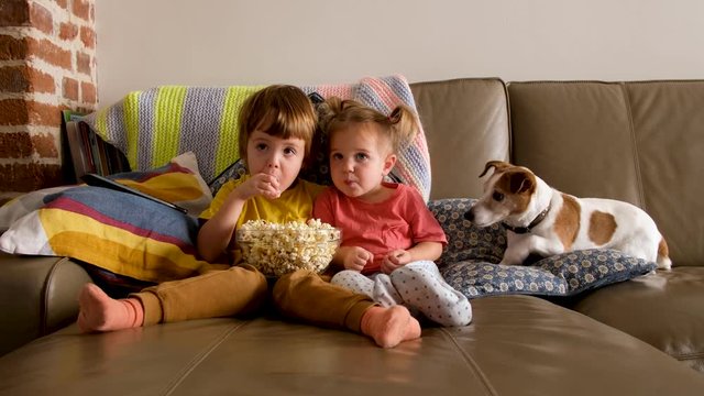 Little boy and girl eating fresh popcorn and watching interesting movie while sitting on sofa near cute dog at home