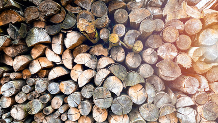 Soft and hard Firewood neatly stacked for winter as a background.