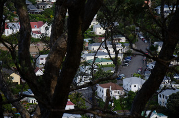View of wellington neighborhood through silhouette trees