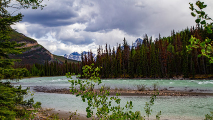 Canada, lake, mountain, landscape, water, nature, mountains, sky, blue, snow, view, forest, summer, panorama, reflection, travel, clouds, beautiful, park, green, alberta, scenic, scenery, cloud