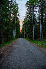 Naklejka premium mountain, forest, landscape, mountains, nature, sky, road, tree, blue, autumn, snow, trees, peak, canada, alps, travel, green, grass, rocky, park, highway, rock, wilderness, clouds, fall, pine, branch